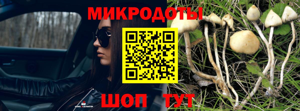Галлюциногенные грибы GOLDEN TEACHER  Псилоцибиновые грибы Magic Shrooms  Вход с VPN  Когалым 